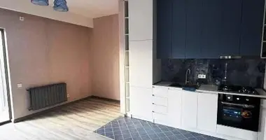 2 bedroom apartment in Tbilisi, Georgia