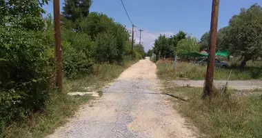 Działka w Olympiada, Grecja