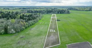 Plot of land in Sirvintos, Lithuania