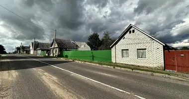 House in Radashkovichy, Belarus