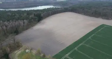 Terrain dans Sierakow, Pologne