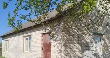 Haus in Vielikarycki sielski Saviet, Belarus