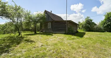 Дом в Боровской сельский Совет, Беларусь