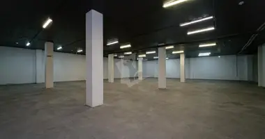 Warehouse 369 m² in Zdanovicy, Belarus