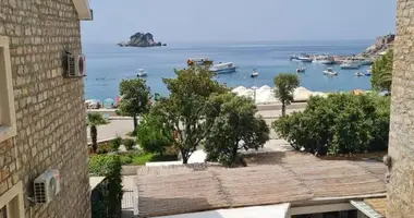 Mieszkanie 1 pokój w Petrovac, Czarnogóra