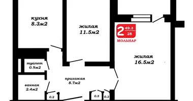 2 room apartment in Minsk, Belarus
