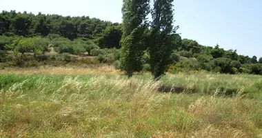 Terrain dans Municipality of Sithonia, Grèce