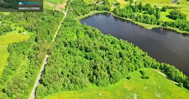 Grundstück in Utenen, Litauen