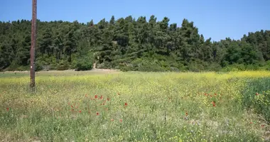 Terrain dans Kassandreia, Grèce
