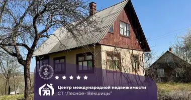 House in Piatryskauski sielski Saviet, Belarus