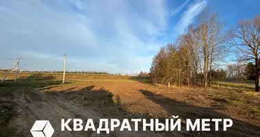 Apartamento en Zupranski sielski Saviet, Belarús