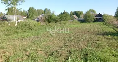 Plot of land in Gorodetsky District, Russia