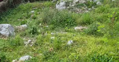 Участок земли в Будва, Черногория