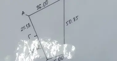 Участок земли в Олехновичский сельский Совет, Беларусь