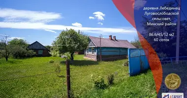 House in Luhavaslabadski sielski Saviet, Belarus
