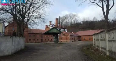 Propriété commerciale 3 179 m² dans Kaunas, Lituanie