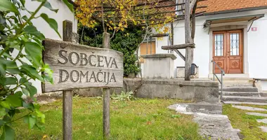 Haus 3 Schlafzimmer in St. Peter in Krain, Slowenien