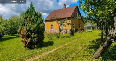 Haus in Birsen, Litauen