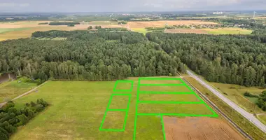 Terrain dans Prysmanciai, Lituanie