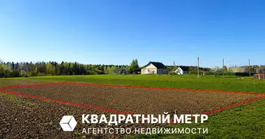 Grundstück in Bialarucki sielski Saviet, Belarus