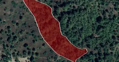 Apartment in Pera Pedi, Cyprus