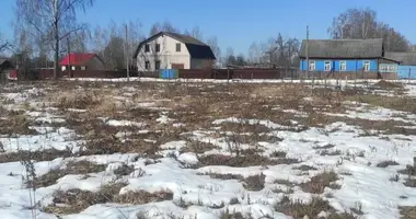 Plot of land in Babinicki sielski Saviet, Belarus