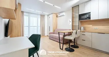 1 bedroom apartment in Minsk, Belarus