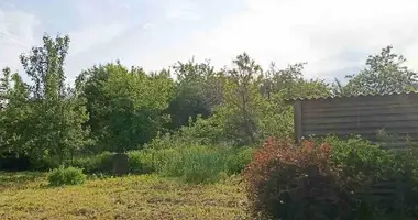 Дом в Жодинский сельский Совет, Беларусь