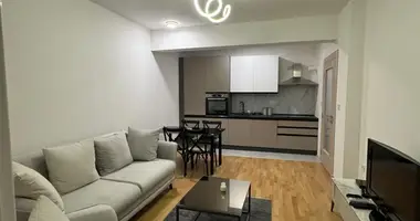 Appartement 1 chambre dans Trg Vojvode Becir bega Osmanagica, Monténégro