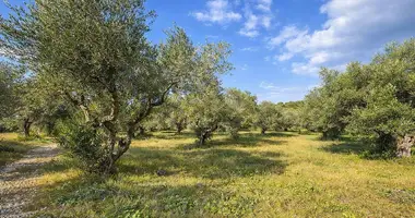 Terrain dans Neos Marmaras, Grèce