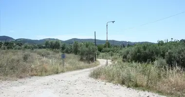 Terrain dans Neos Marmaras, Grèce