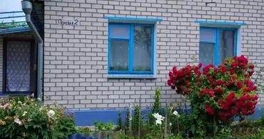 Haus in Rajon Dsjarschynsk, Weißrussland