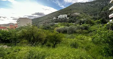 Apartamento 3 habitaciones en Montenegro