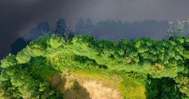 Plot of land in Petrauskai, Lithuania
