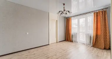 1 bedroom apartment in Minsk, Belarus