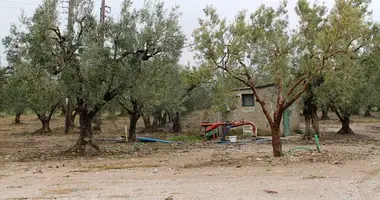 Terrain dans Gerakini, Grèce