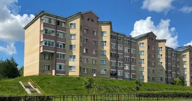 Apartamento 3 habitaciones en Slonim, Belarús