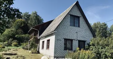 Maison 4 chambres dans Viazynka, Bélarus