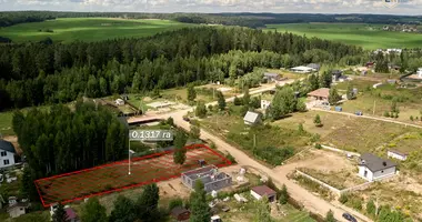 Działka w Zdanovicki sielski Saviet, Białoruś