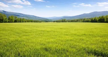 Участок земли в Круя, Албания