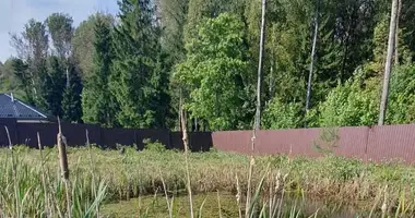 Участок земли в Демидовичский сельский Совет, Беларусь