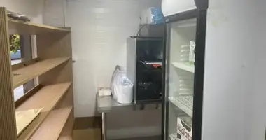 Коммерческое помещение 30 м² в Тбилиси, Грузия