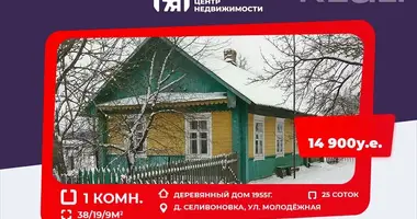 House in Sielivonauka, Belarus