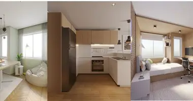 1 bedroom apartment in Porto, Portugal