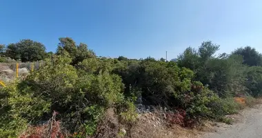 Участок земли в Municipality of Agios Nikolaos, Греция