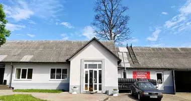 Manufacture 1 451 m² in Barysaw, Belarus