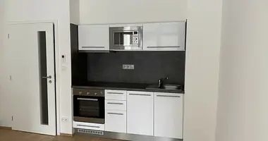 Appartement 1 chambre dans okres Brno mesto, République tchèque