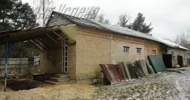 Warehouse in carnaucycy, Belarus