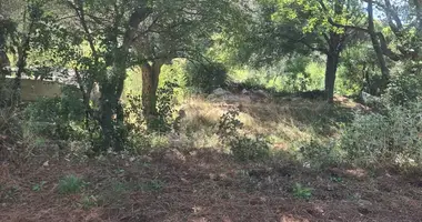 Terrain dans Sutomore, Monténégro