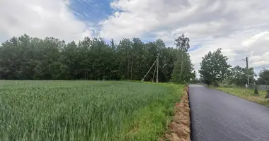 Haus in Piatryskauski sielski Saviet, Belarus